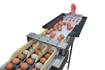 Elévateur d'œufs sous vide et Accumulateur