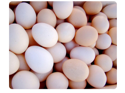MLEHN Nettoyeur de brosse à œufs, machine à laver les œufs en silicone,  outil multifonction pour légumes/œufs, brosse de nettoyage pour œufs :  : Cuisine et Maison