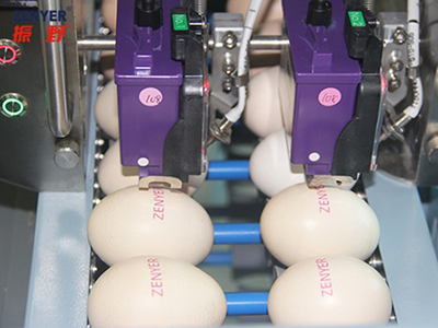 Machine de marquage d'œufs 402H