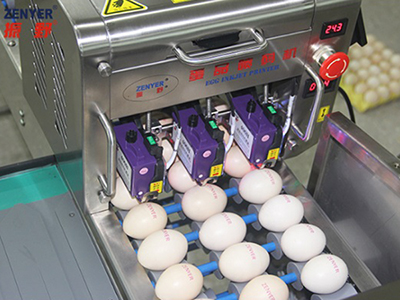 Machine de marquage d'œufs 403H