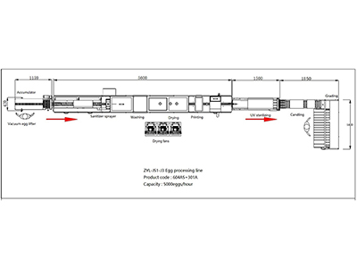 Ligne de traitement d'œufs 301A avec laveuse & calibreuse (5000 OEUFS/HEURE)