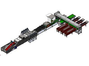 Ligne de traitement d'œufs 303B avec machine de nettoyage d'œuf et calibreuse