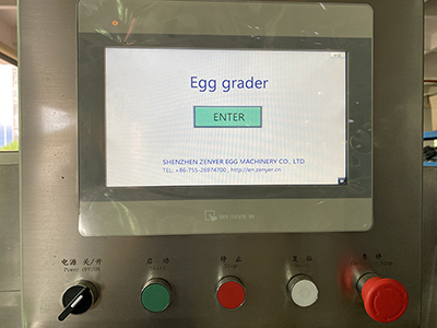 Ligne de traitement d'œufs 303B avec machine de nettoyage d'œuf et calibreuse