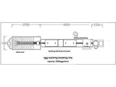 Ligne de nettoyage et de séparation d’œufs 300C (10000 OEUFS/HEURE)