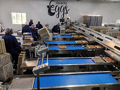 101A Egg Grader