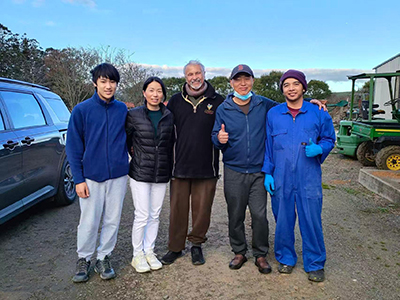 Egg Grading & Packing Solution in Auckland, New Zealand in 2024